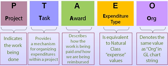 Figure 6: P.T.A.E.O. (pat-ay-oh) Breakdown. A graphic with two rows of five boxes. The top row has the letters of the acronym and what they stand for. The bottom row has the meaning of each term. The terms and meanings, in order, are as follows. P, Project, Indicates the work being done. T, Task, Provides a mechanism for organizing expenditures within a project. A, Award, Describes how the work is being paid and how we are being reimburse. E, Expenditure Type, Is equivalent to Natural Class "expense" values. O, Org, Denotes the same value as "Org" in GL chart string.